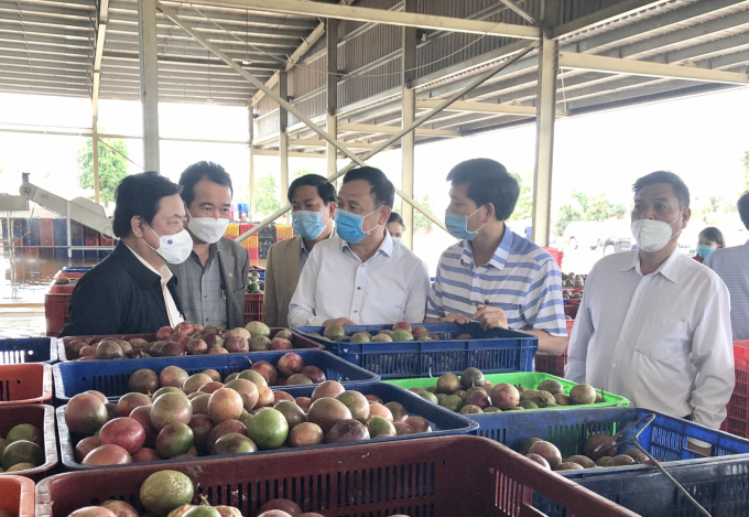 Bộ trưởng Bộ NN-PTNT Lê Minh Hoan (bìa trái) thăm nhà máy chế biến rau quả Doveco Gia Lai. Ảnh: Tuấn Anh.