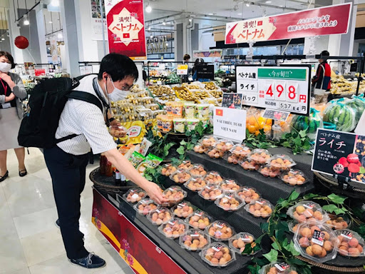 Vải Việt Nam bán ở Nhật Bản là một câu chuyện thành công của đàm phán xuất khẩu hoa quả vào thị trường tiêu chuẩn cao này. Ảnh: TL.