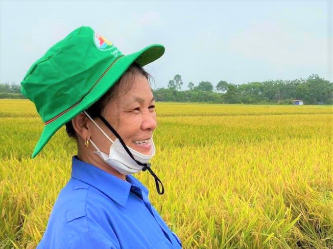 Vinh Phuc farmers are excited by the effectiveness of using microbial products to treat rice straw, helping to have a bountiful harvest. Photo: Hoang Anh.