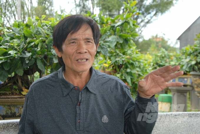 Ông Nguyễn Trí Tuấn ở thôn Thanh Liêm, xã Nhơn An là một trong những người đi tiên phong trong trồng mai sạch ở thị xã An Nhơn (Bình Định). Ảnh: Vũ Đình Thung.
