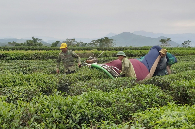 Người lao động mong mỏi quyền lợi của họ sẽ được đảm bảo. Ảnh: Việt Khánh.