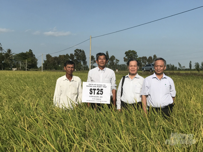 Ông Trần Xuân Định (ngoài cùng bên phải) thăm ruộng lúa ST25 sản xuất thử của doanh nghiệp Hồ Quang Trí. Ảnh: Nhân vật cung cấp.