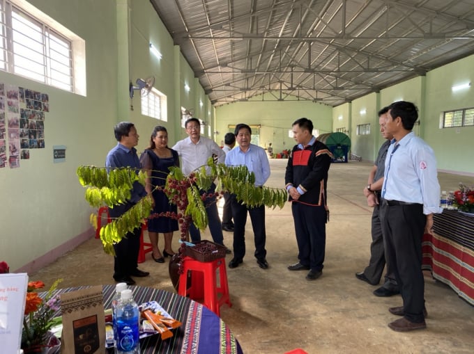 Thứ trưởng Bộ NN-PTNT Lê Quốc Doanh (giữa) thăm cơ sở chế biến cà phê được dự án VnSAT hỗ trợ tại Tây Nguyên. Ảnh: LT.