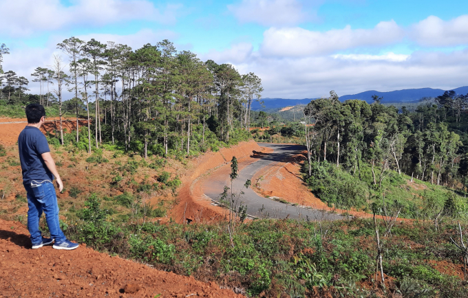 Diện tích rừng đã bị san ủi để xây dựng các tuyến đường giao thông. Ảnh Tuấn Anh.