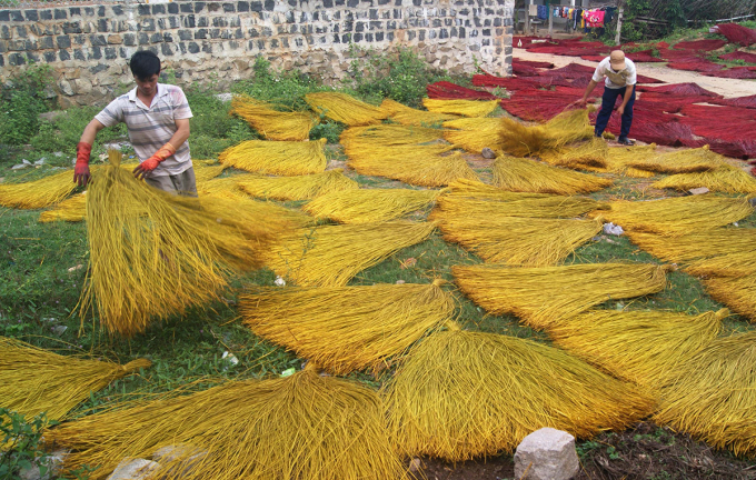 Phơi nguyên liệu làm chiếu cói ở làng nghề Nam Sơn. Ảnh: Tư liệu.