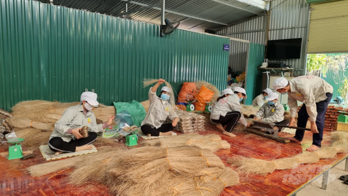 Sản xuất miến dong tại Hợp tác xã Nông sản Tân Việt Á. Ảnh: Công Hải.