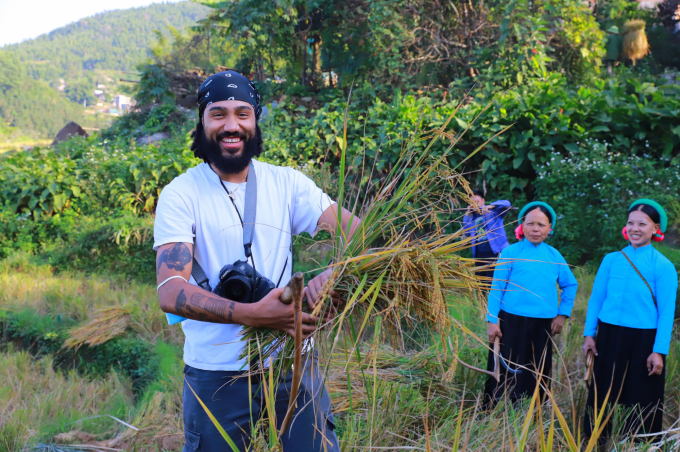 Du khách nước ngoài được trải nghiệm gặt lúa tại xã Lục Hồn (Bình Liêu). Ảnh: Nguyễn Thành.