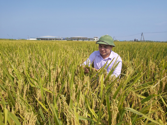 Năm 2021, năng suất, sản lượng lúa của Nghệ An cao nhất từ trước tới nay. Ảnh: Việt Khánh.