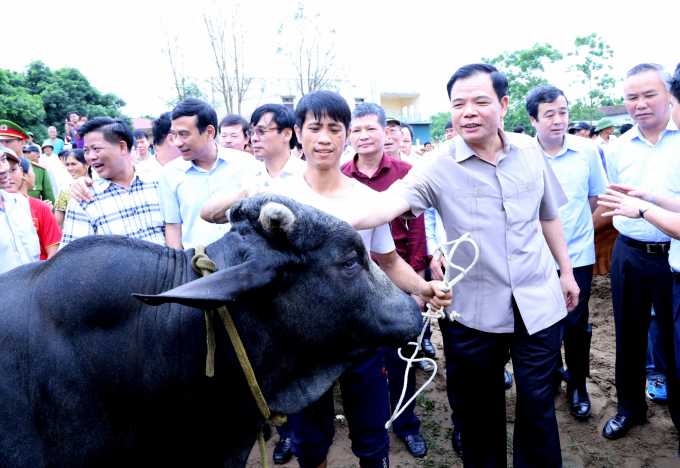 Nguyên Bộ trưởng Bộ NN-PTNT Nguyễn Xuân Cường về thăm mô hình nuôi bò BBB tại xã Minh Châu (Ba Vì, Hà Nội) năm 2020. Ảnh: Minh Phúc.
