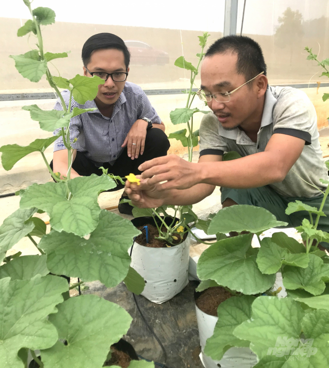 Mr. Tran Bao Diep (right) is one of the pioneers in Binh Dinh who get excited with the thought of digital transformation in agroproduction. Photo: Vu Dinh Thung.