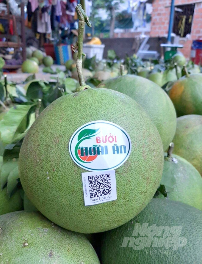 Tagged with a QR code, the 'Hoai An Pomelo' product is trusted by consumers and sells at a high price. Photo: Vu Dinh Thung.