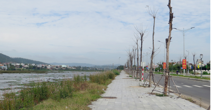 Các đơn vị thi công đường Nguyễn Trãi nối dài phải có trách nhiệm bồi thường thiệt hại cho nông dân. Ảnh: XT.