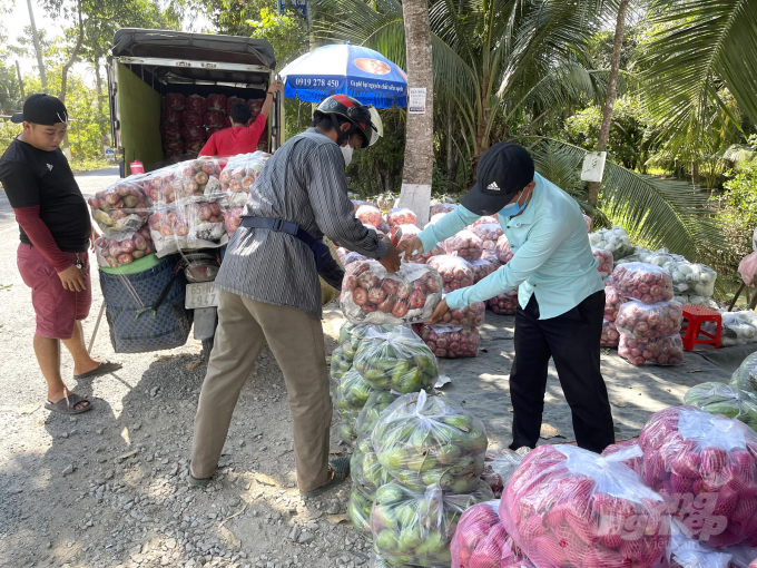 Wholesalers collect fruits for Tet market. Photo: HP.