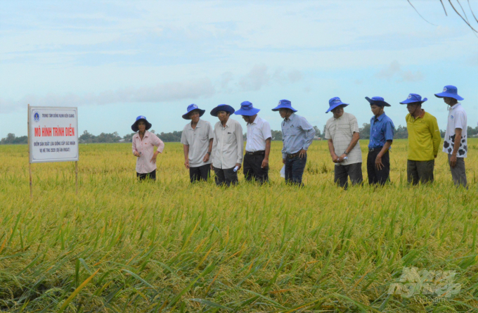Với sự hỗ trợ của Dự án VnSAT, nhiều tổ chức nông dân đã trở thành mô hình kinh tế hợp tác tiêu biểu ở ĐBSCL. Ảnh: Trung Chánh.