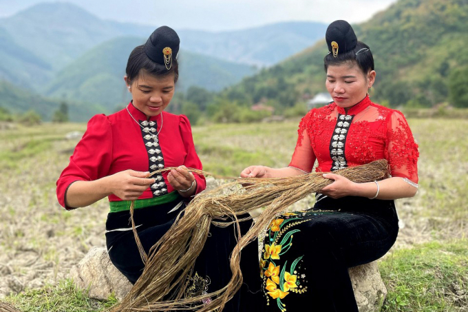Cây gai xanh hiện được trồng phổ biến ở Thanh Hóa, Sơn La, là đối tượng giúp nhiều người dân tộc thiểu số cải thiện kinh tế.