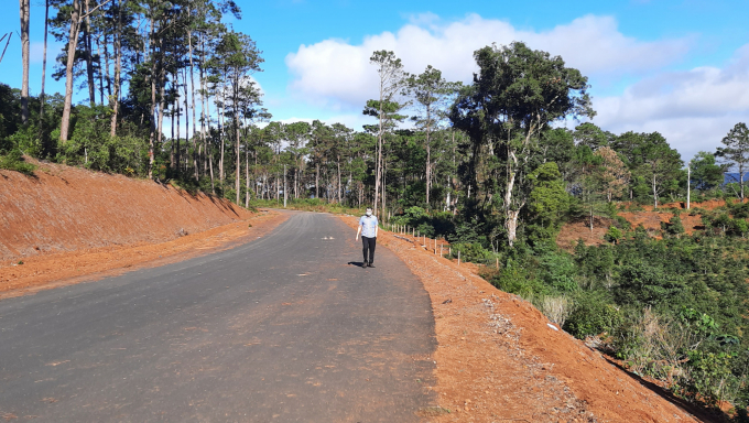 Rừng đã bị san ủi để xây dựng các tuyến đường tại dự án khu biệt thự phía bắc Kon Plông. Ảnh Tuấn Anh.