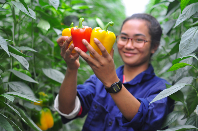 'It is necessary to attract well-trained students who are passionate about agriculture to come to the countryside and start a business by offering preferential mechanisms,' said Dr. Huan.