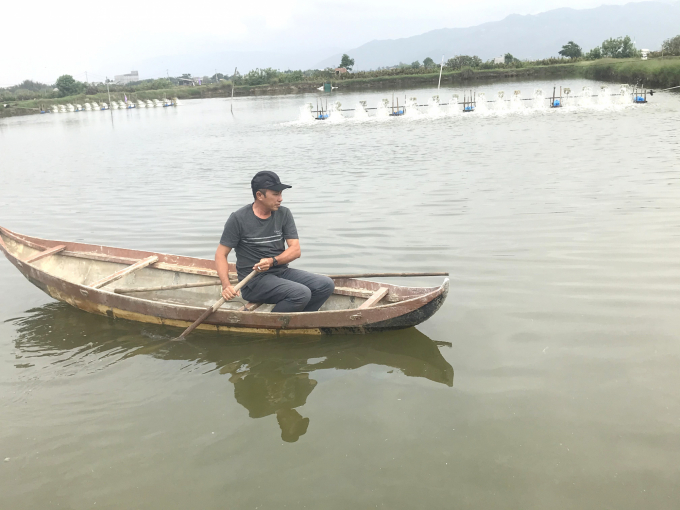 Shrimp farmers are now switching to biosecurity and Biofloc technology to both be safe for farmed shrimp and ensure output. Photo: V.Đ.T