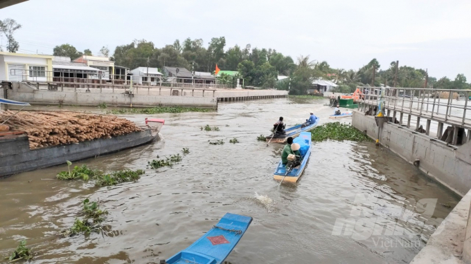 In the 2021-2022 dry season, saltwater intrusion is forecasted to come Mekong Delta provinces earlier than every year, affecting ​​winter-spring rice crop and aquaculture production. Photo: Trong Linh.