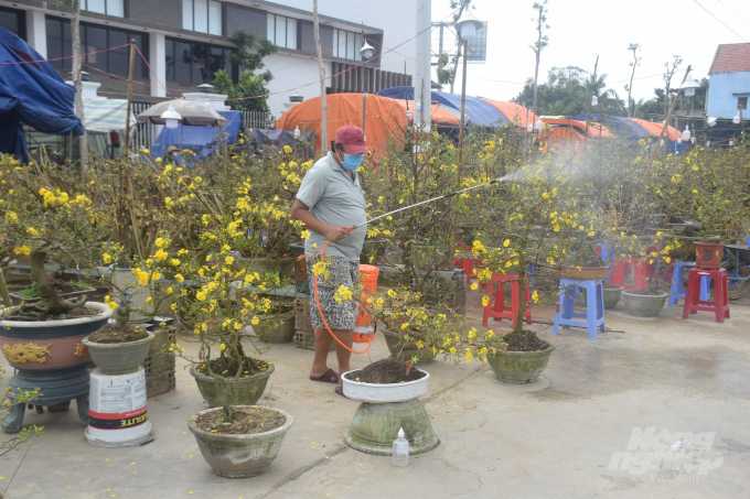 Anh Lê Văn Cường ở xã Nhơn Khánh (thị xã An Nhơn, Bình Định) bán mai cảnh trước Trung tâm Đăng kiểm ô tô suốt 1 tuần qua mới chỉ bán được 7-8 triệu đồng tìn mai. Ảnh: V.Đ.T.