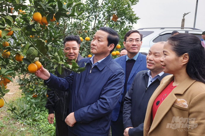 Thông qua tích tụ đất đai, nhiều mô hình phát triển kinh tế vùng nông thôn đã được triển khai và đã đem lại hiệu quả cao. Ảnh: VD.