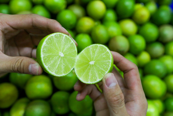 Seedless lemons with high quality are selected for export. Photo: MS.