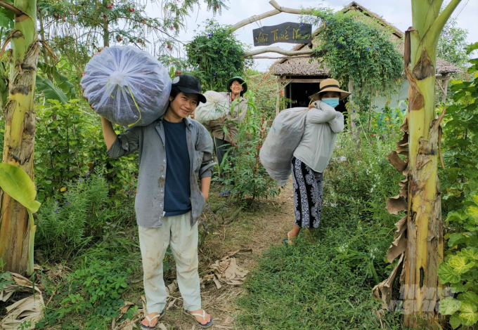 Các thành viên nhóm 'Tre Mỡ' trồng và sơ chế các loại cây thuốc Nam để cung cấp cho những nơi khám, chữa bệnh từ thiện. Ảnh: Trung Chánh.