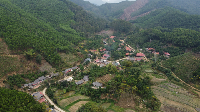 Trồng rừng đã thay đổi bộ mặt nông thôn mới ở huyện Chợ Mới. Ảnh: Toán Nguyễn.