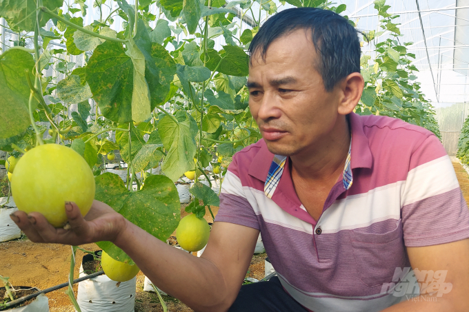 Thành quả ngọt ngào của ông Binh tạo động lực cho nhiều hộ dân tiến tới áp dụng các tiến bộ khoa học kỹ thuật, biện pháp canh tác an toàn trong sản xuất nông nghiệp. Ảnh: Võ Dũng.