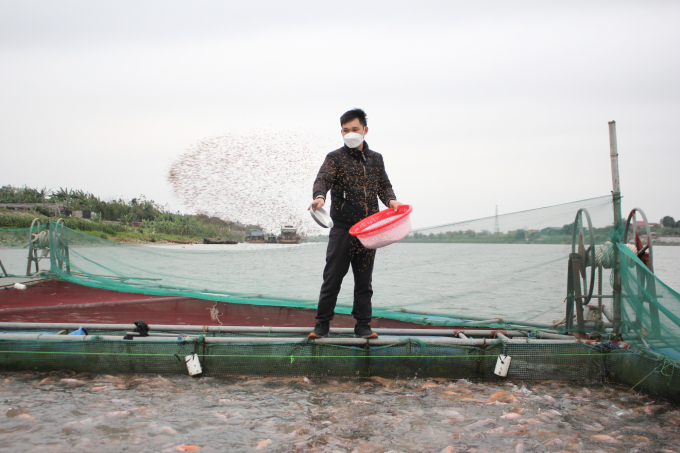 Các hộ nuôi cá lồng tại Bắc Ninh đang tăng cường các biện pháp tăng sức đề kháng, bảo vệ đàn cá trước thời tiết giá rét và sự thay đổi của con nước. Ảnh: Trung Quân.