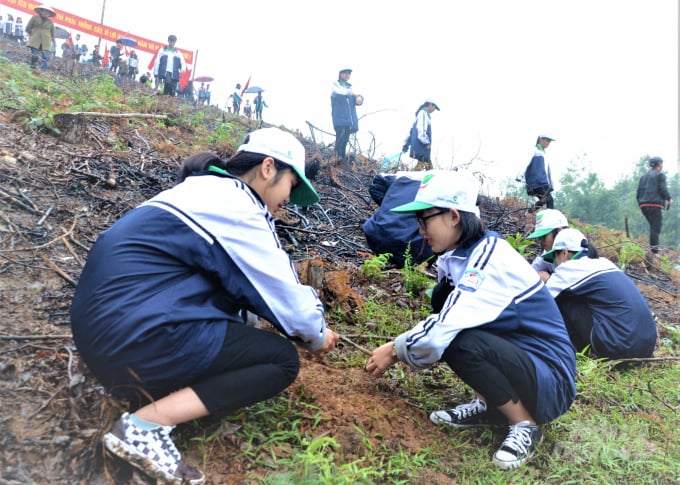 Đầu Xuân Nhâm Dần, Tuyên Quang đã phát động phong trào Tết trồng cây sôi nổi trên địa bàn tỉnh. Ảnh: Đào Thanh.