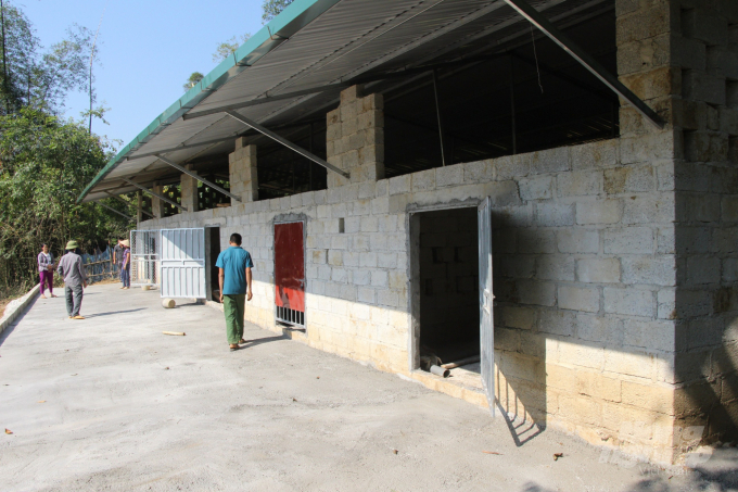 Năm nay, xã Đàm Tủy, huyện Trùng Khánh (Cao Bằng) đã xây dựng chuồng gia súc tập trung để phòng chống đói rét cho trâu, bò. Ảnh: Công Hải.