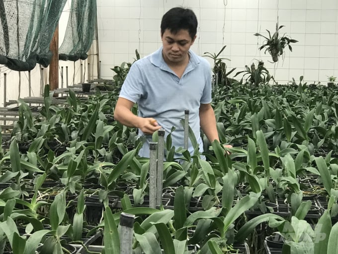 Mr. Le Duc Dung, Deputy Head of the Vegetables and Ornamental Plants Faculty (Agricultural Science Institute for Southern Coastal Central of Vietnam) in a garden of tissue-transplanted orchids. Photo: V.D.T.