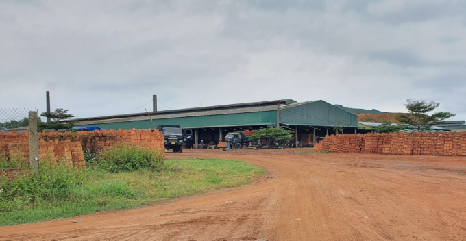 Kể từ khi đi vào hoạt động, nhà máy gạch tuynel Phổ Hòa đã ảnh hưởng đến sản xuất nông nghiệp của người dân phường Nguyễn Nghiêm (thị xã Đức Phổ, tỉnh Quảng Ngãi). Ảnh: L.K.