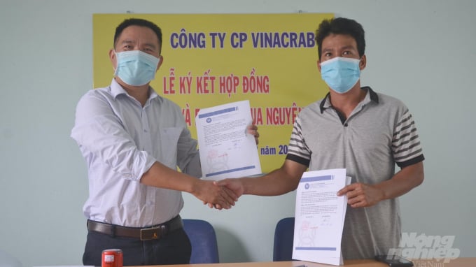 Ông Nguyễn Văn Nghĩa (trái ), Tổng Giám đốc Công ty Cổ phần VinaCrab ký kết hợp đồng liên kết sản xuất cua với nông dân Thị xã Duyên Hải. Ảnh: Minh Đảm.