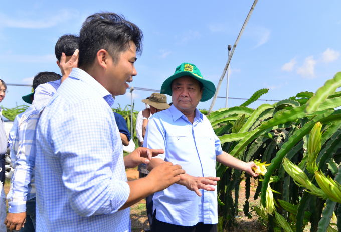Bộ trưởng Lê Minh Hoan (bên phải) tham quan trang trại sản xuất thanh long theo hướng hữu cơ của Công ty TNHH Nông nghiệp Công nghệ cao Bình An (Bình Thuận). Ảnh: MH.