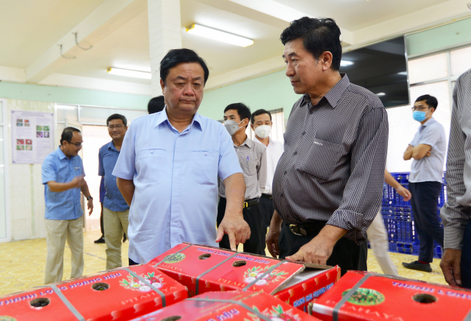 Bộ trưởng Lê Minh Hoan (bên trái) xem quy trình sơ chế, chế biến và đóng gói của Công ty TNHH Thanh long Hoàng Hậu. Ảnh: MH.
