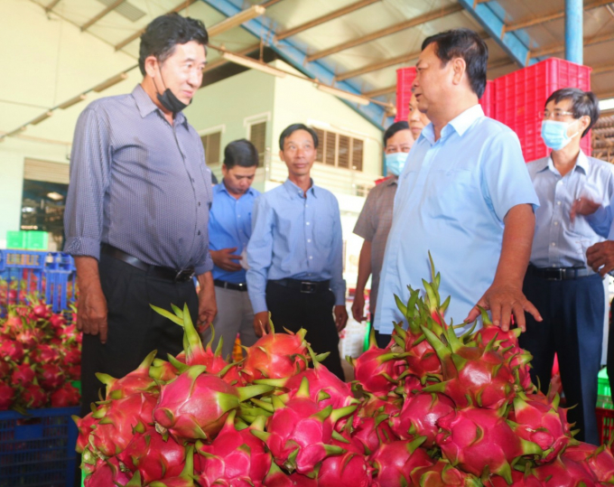 Bộ trưởng Lê Minh Hoan trao đổi với doanh nghiệp để nắm thông tin về thu mua, chế biến, xuất sang thị trường Trung Quốc. Ảnh: KS.