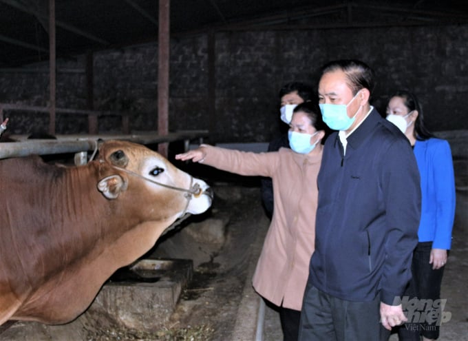 Thứ trưởng Phùng Đức Tiến kiểm tra công tác phòng chống đói rét cho đàn gia súc tại Sơn La vào tháng 12/2021. Ảnh: Phạm Hiếu.