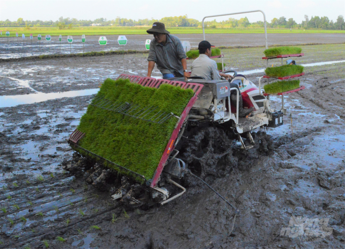 Trung tâm Khuyến nông và Dịch vụ nông nghiệp tỉnh Hậu Giang ứng dụng máy cấy lúa trong sản xuất, giúp nông dân giảm lượng giống, sản xuất đạt hiệu quả, tăng lợi nhuận. Ảnh: Trung Chánh.