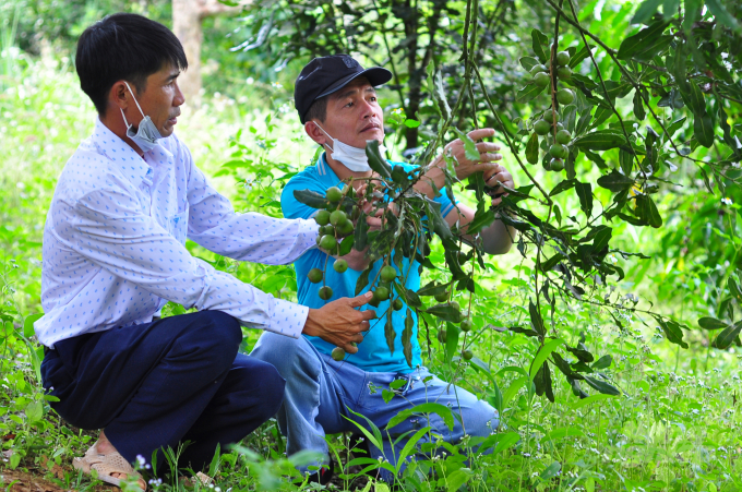 Tỉnh Lâm Đồng đẩy mạnh các mô hình nông nghiệp ứng dụng công nghệ cao, nông nghiệp hữu cơ để nâng cao giá trị sản xuất. Ảnh: Minh Hậu.