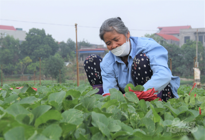 The role of farmers has not been properly promoted, not given due attention and appreciated. Photo: Pham Hieu.
