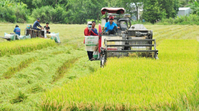 Ban chỉ đạo phát triển nông nghiệp, nông thôn vùng ĐBSCL có nhiệm vụ phát triển bền vững khu vực trong giai đoạn 2021-2025.