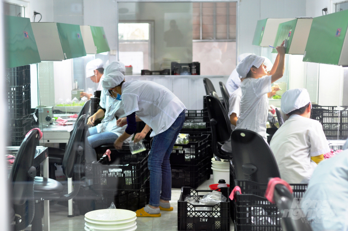 Công nghệ giống in vitro đóng vai trò quan trọng trong sản xuất nông nghiệp ở Lâm Đồng, song lĩnh vực này còn gặp nhiều khó khăn. Ảnh: Minh Hậu.