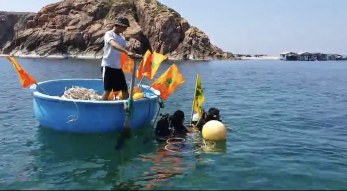 Members of the aquatic resources co-management community group in Nhon Hai Commune (Quy Nhon City, Binh Dinh Province) released buoys to protect the core zone. Photo: V.D.T.