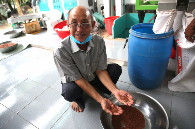 Sometimes dragon blood rice has a few grains of white rice mixed in. After color separation, all the white grains have been removed. Photo: Phuc Lap.