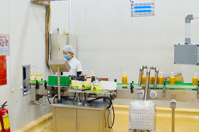 Packaging products at DOVECO Gia Lai fruit and vegetable processing factory. Photo:  Dang Lam.
