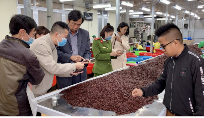 Gia Lai province is working closely with businesses to remove difficulties and promote profitable agricultural products promptly.