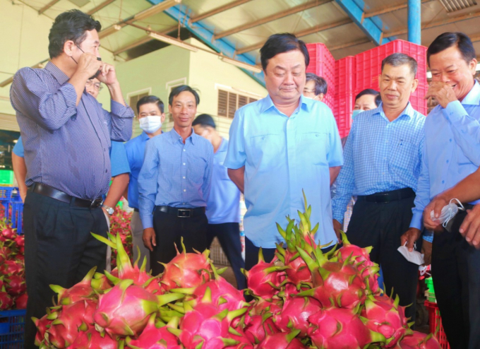 MARD Minister Le Minh Hoan visits a dragon fruit production and trading model.