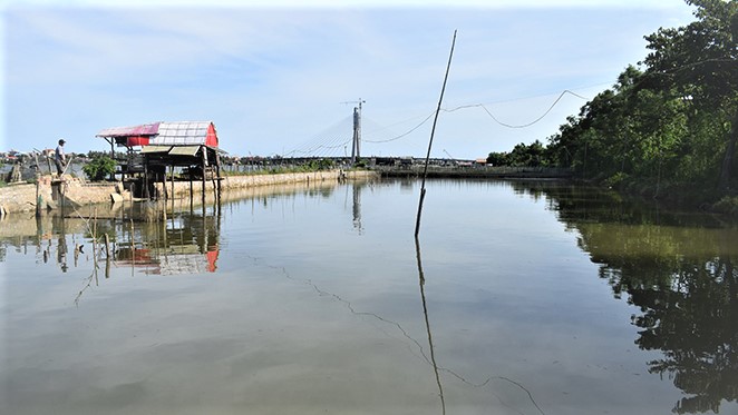 The aquaculture environment has been managed and bettered since the implemenation of the co-management model. Photo: Trong Hieu.